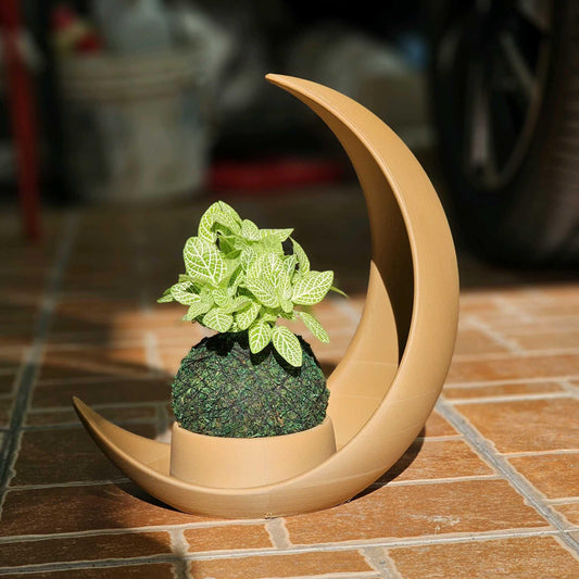 Celestial Home Decor