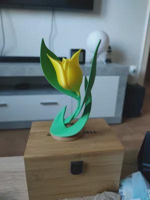 Eternal Bloom Sculptural Tulip Vase – Modern 3D Printed Art Décor