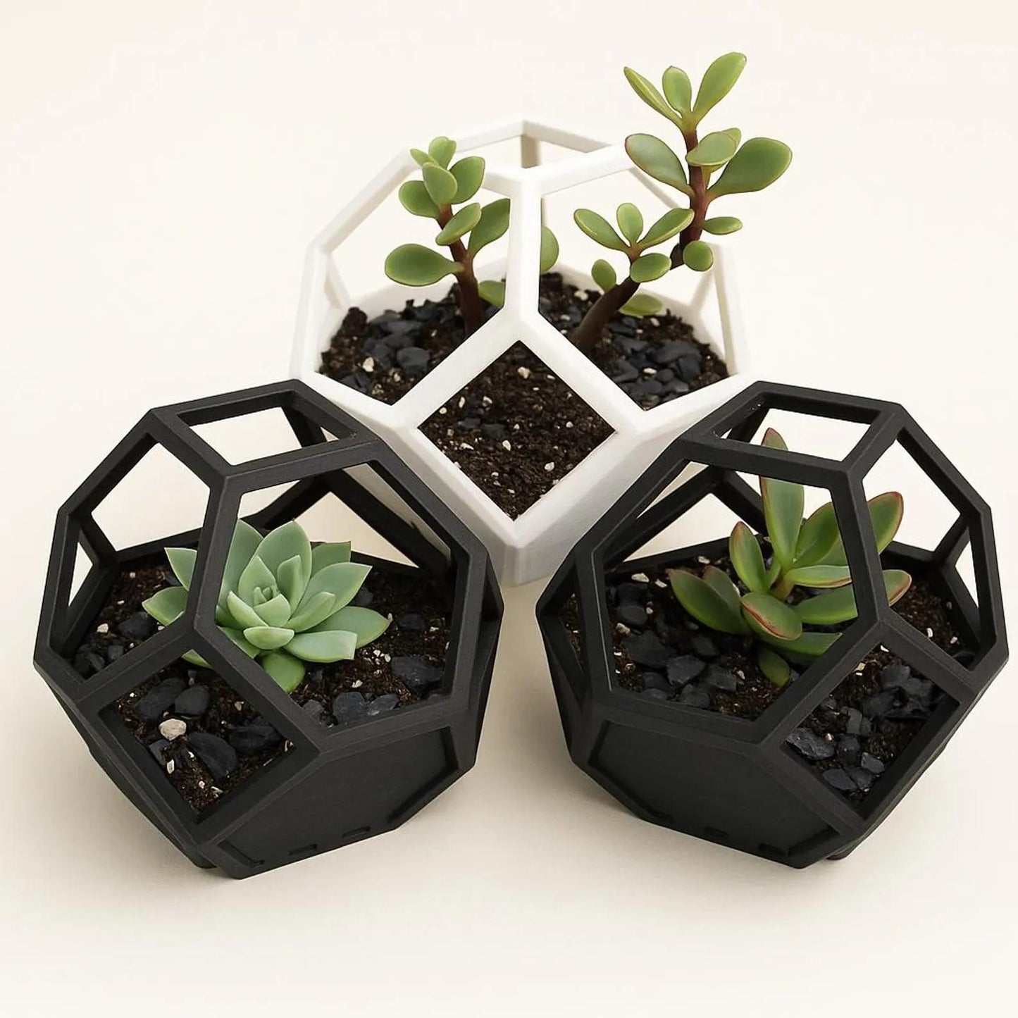 Geometric 3D Modern Succulent Pot Terrarium Planter