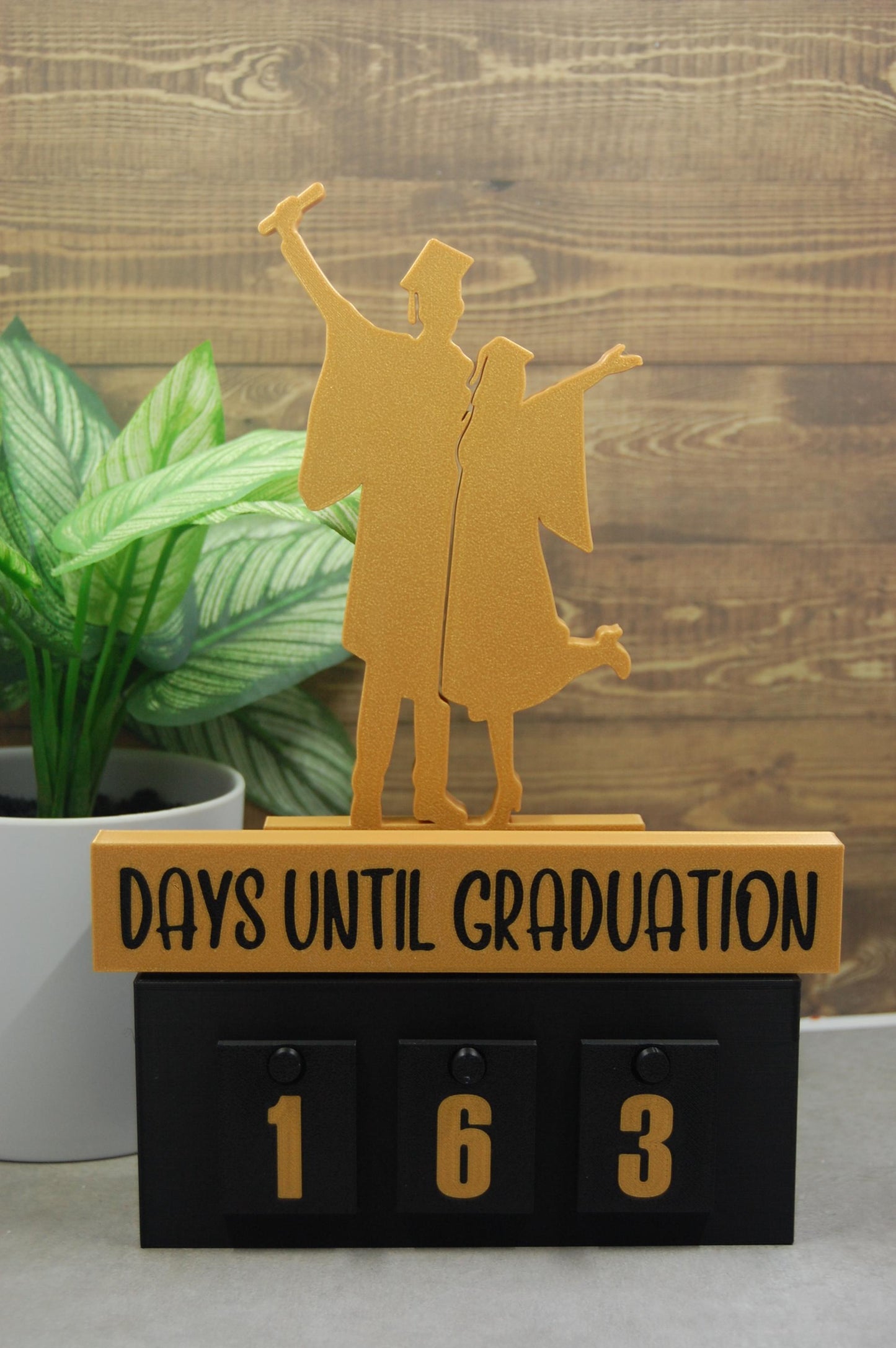 Personalized Graduation Decor 2026