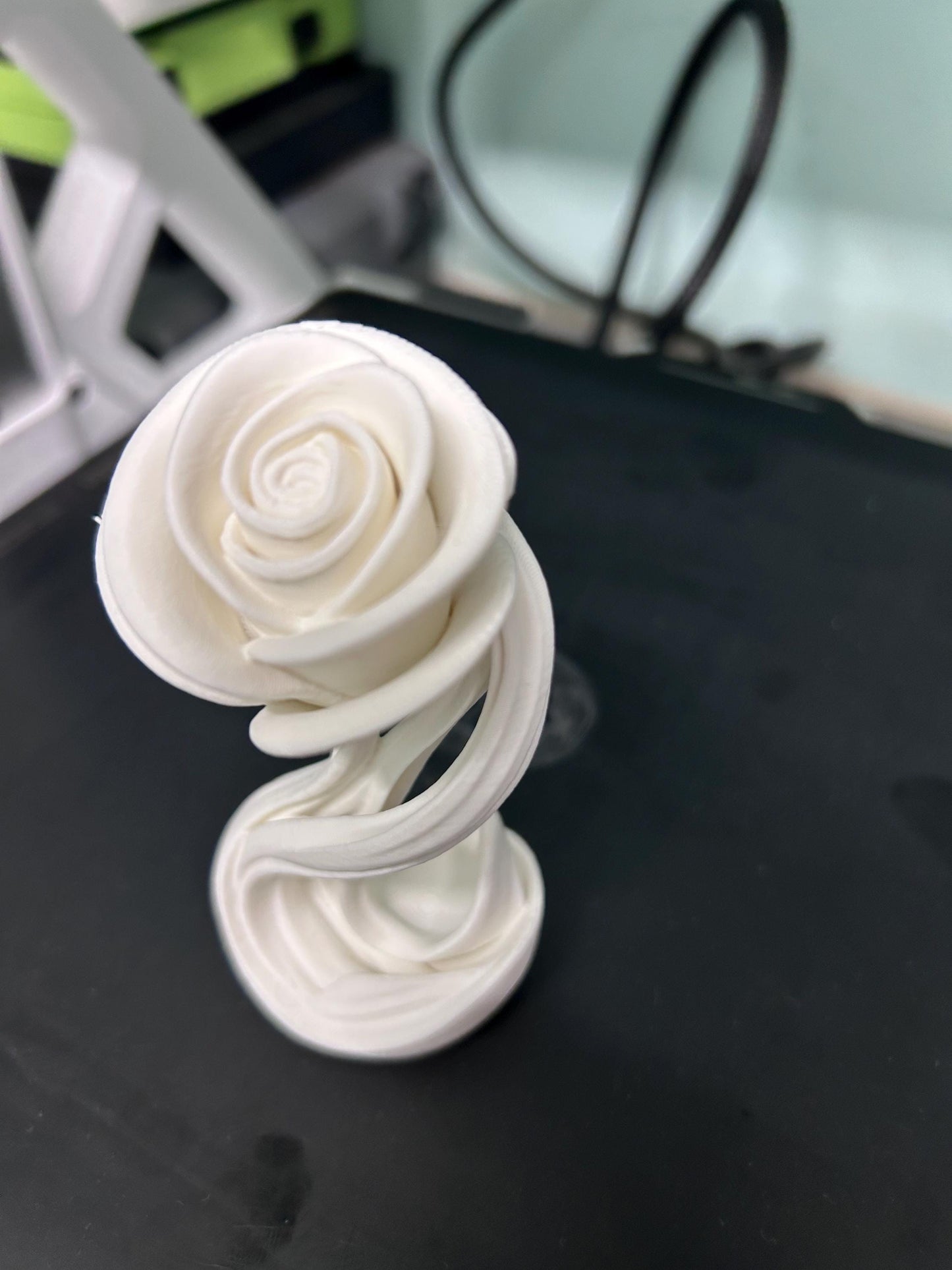 Eternal Bloom Sculpted Rose