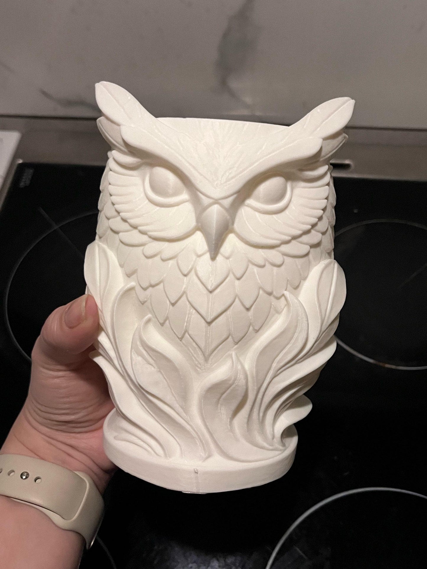 Unique Carved Owl Holder