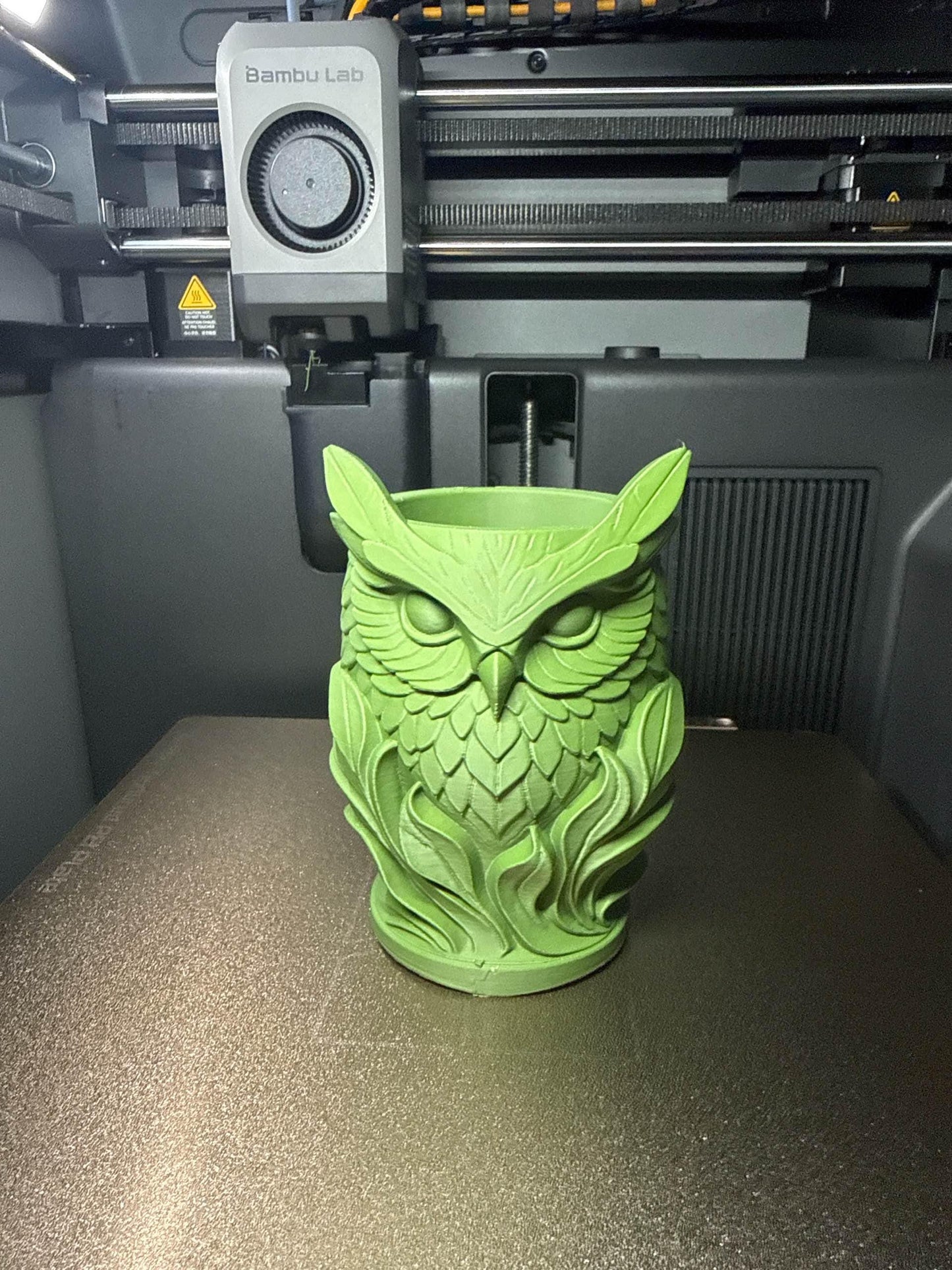 Unique Carved Owl Holder