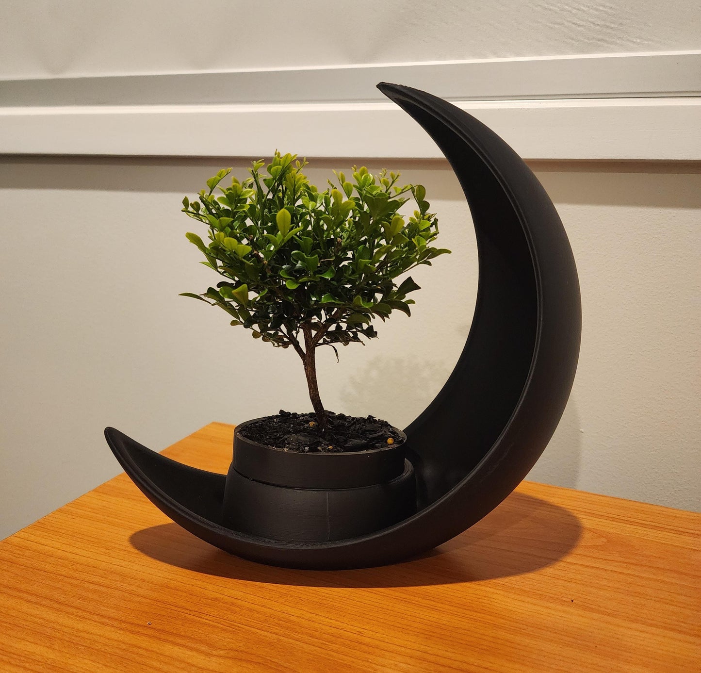 Celestial Home Decor